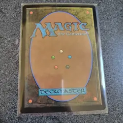 MTG - Forest (0291) Tarkir: Dragonstorm Set (Foil/New) - Image 4