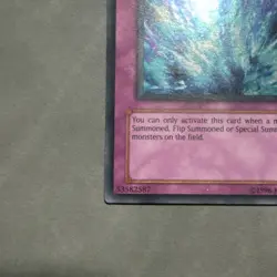 Yu-Gi-Oh! TCG Torrential Tribute Dark Beginning 1 DB1-EN228 Ultra Rare LP - Image 2