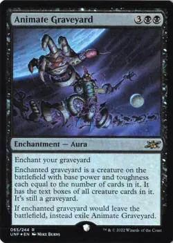 Animate Graveyard R Unfinity 65 Lightly Played foil - Image 1