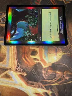 MTG Forest (Arena Promo Foil) - Christopher Rush Beta Art - NM - - Image 2