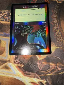 MTG Forest (Arena Promo Foil) - Christopher Rush Beta Art - NM - - Image 3