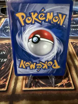 Wooper 66/147 Aquapolis Non-Holo NM Vintage Pokemon Card 2002 - Image 4