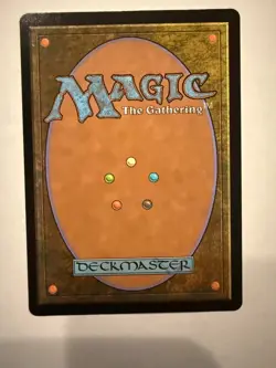 MTG: Hedge Maze Borderless FOIL Murders of Karlov Manor 326 -NM - Image 2