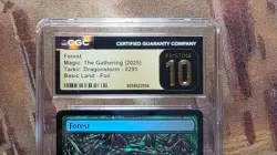 MTG Dragon Eye Land Forest Foil #0291 Tarkir Dragonstorm CGC Pristine 10 Pop 1 - Image 2