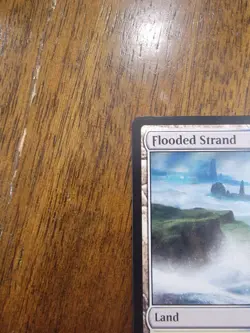Flooded Strand | NM | Modern Horizons 3 MH3 #220 | MTG - Image 4