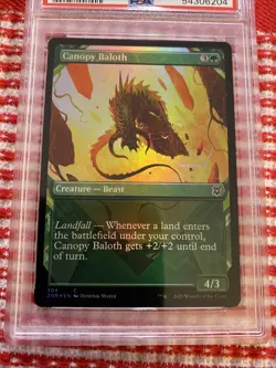 PSA 10 Pop 1 Gem MTG Magic FOIL Canopy Baloth Showcase Zendikar Rising - Image 3