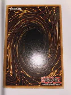 Yu-Gi-Oh TCG RA04-EN032 "Chamber Dragonmaid" 1st SECRET NM - Image 2