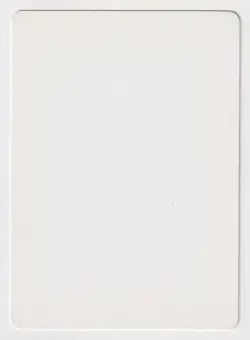 Signed French Fanatical Fever Proof LP Ice Age Artist Julie Baroh MTG Magic AP! - Image 2