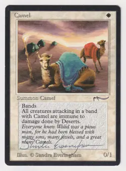 Signed Camel MP Arabian Nights Artist Sandra Everingham 1993 MTG Magic Vintage! - Image 1