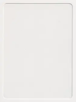 Signed Shield Wall Proof LP Chronicles Artist Douglas Shuler 1995 MTG Magic AP! - Image 2