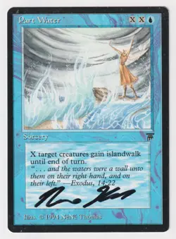 Signed Part Water HP Legends English Artist NeNe Thomas 1994 MTG Magic Vintage! - Image 1