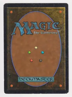 Signed El-Hajjaj HP Arabian Nights Artist Dameon Willich 1993 MTG Magic Rare! - Image 2