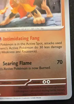 Pyroar 024/132 Reverse Holo Uncommon Mega Evolution Pokemon TCG - Image 5