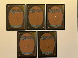 5x Tempest Hawk (2 foil, 3 regular) - Tarkir: Dragonstorm (TDM) - EN C 0031 - Image 2