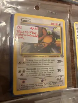 Over 100 Pokemon Cards Lot (22 Holo) Vintage XY Jungle SM B&W - Image 3