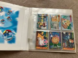 Pokemon Anime Collection, Top Sun, Shieldas card file included - Image 2