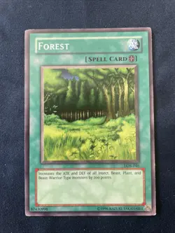 Yugioh TCG Forest spell card - LOB-046 - Common - Moderately Played - Image 1