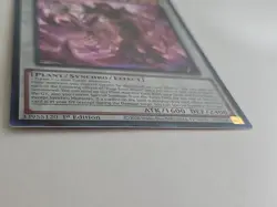 Yu-Gi-Oh Doom Of Dimensions Rage Rose Witch Ultra Rare DOOD-EN040 NM!!! - Image 5