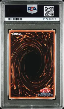 2025 YU-GI-OH! JAPANESE DARK MAGICIAN GIRL THE MAGICIAN'S APPRENTICE PSA 10 - Image 2