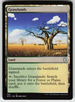 Grasslands U Commander: Adventures in the Forgotten Realms 242 MTG - Image 1