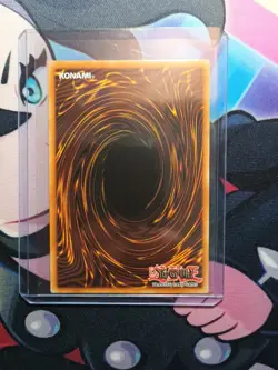 Yu-Gi-Oh TCG Secreterion Dragon 2025 DUAD-EN037 Ultra Rare 1st Edition Near Mint - Image 4
