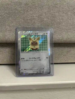Poncho Wearing Eevee 142/SM-P Eevee Mega Campaign Promo 2017 Holo Pokemon Card - Image 1