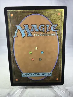 Friendly Neighborhood - SPM 0008 - NM/M - MTG Magic R EN - Image 2