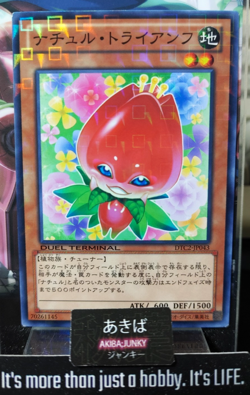 Naturia Tulip Yugioh DTC2-JP043 Holo Yu-Gi-Oh Konami OCG JAPAN - Image 1