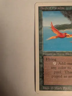 Magic the Gathering 1994 Revised Birds of Paradise Green Creature Card LP - Image 2