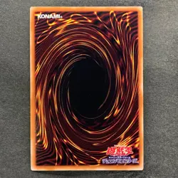 NM 3 card Dragon Master Magia QCDB-JP001 Secret Rare YuGiOh 960 - Image 3