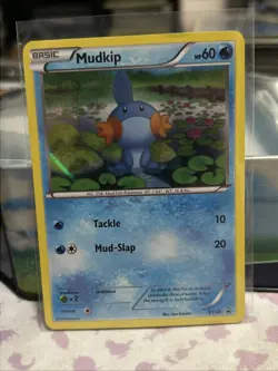 Pokemon TCG Mudkip XY38 XY Holo Black Star Promo - Image 1