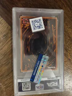 Yu-Gi-Oh! Blue Eyes White Dragon BPT-009 Secret PSA 10! Signed Eric Stuart Kaiba - Image 4