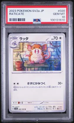 2023 Pokemon SV2a JP Raticate PSA 10 Gem Mint Card #020 - Image 1