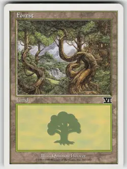 Forest L Classic Sixth Edition 347 MTG - Image 1