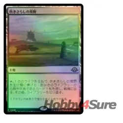 Foil Japanese Windswept Heath M/NM Magic: The Gathering MTG Modern Horizons 3 - Image 1