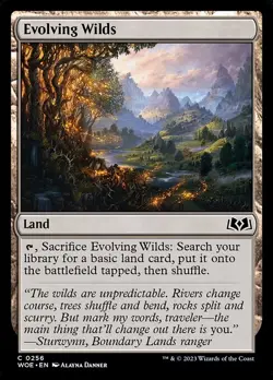 NM Foil Evolving Wilds, MTG, Wilds of Eldraine, Magic the Gathering, 256 - Image 1