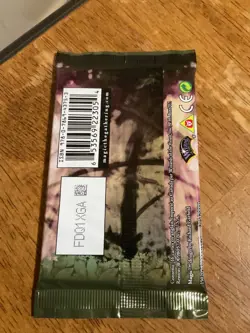 MTG: LORWYN Sealed Booster Pack from Box - Magic the Gathering - English 653569223054 - Image 2