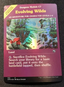 Evolving Wilds - Foil - Showcase - AFR - MTG - EN - NM - 353 - Image 1