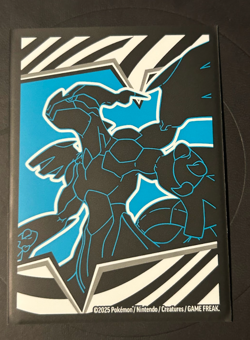 Pokemon Palpitoad 104/086 Illustration Rare S&V Black Bolt NM+ - Image 3