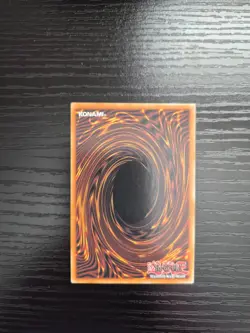 Yugioh Doom of Dimensions - Rage Rose Witch - DOOD-EN040 - STARLIGHT RARE - Image 2