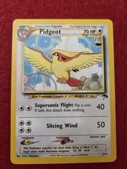 Pokemon Southern Islands Complete Set - Image 4