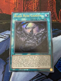 Black Rose Garden DOOD-EN055 1st Edition Ultra Rare NM Near Mint Yugioh - Image 1