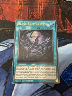 Black Rose Garden DOOD-EN055 1st Edition Ultra Rare NM Near Mint Yugioh - Image 2