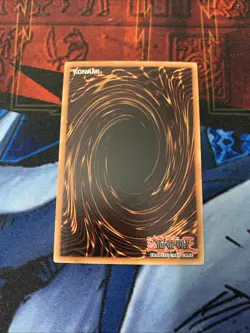 Black Rose Garden DOOD-EN055 1st Edition Ultra Rare NM Near Mint Yugioh - Image 4