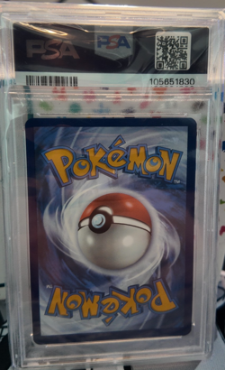 PSA 10 2023 POKEMON Scarlet Violet 151 English ILLUSTRATION RARE #171 Wartortle - Image 3