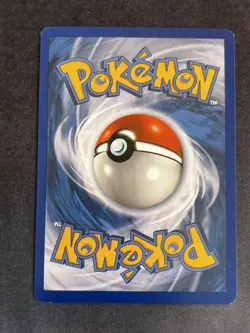 Pokemon TCG Raikou 16/132 Secret Wonders Cracked Ice Holo Excellent Condition - Image 3