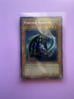 Panther Warrior CT2-EN006 2005 Collectors Tin Limited Edition - Image 1