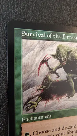 Survival of the Fittest Exodus Regular MTG Magic EXO 1x NM ~ NM- - Image 3
