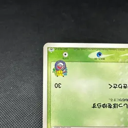 Treecko 037/PCG-P Promo Yokohama Opening 2005 Japanese Pokemon Card #E570 - Image 5
