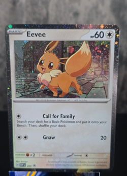 Reserved Private Listing for (p********93) - Pokemon Promo Card Lot (2 of each) - Image 1